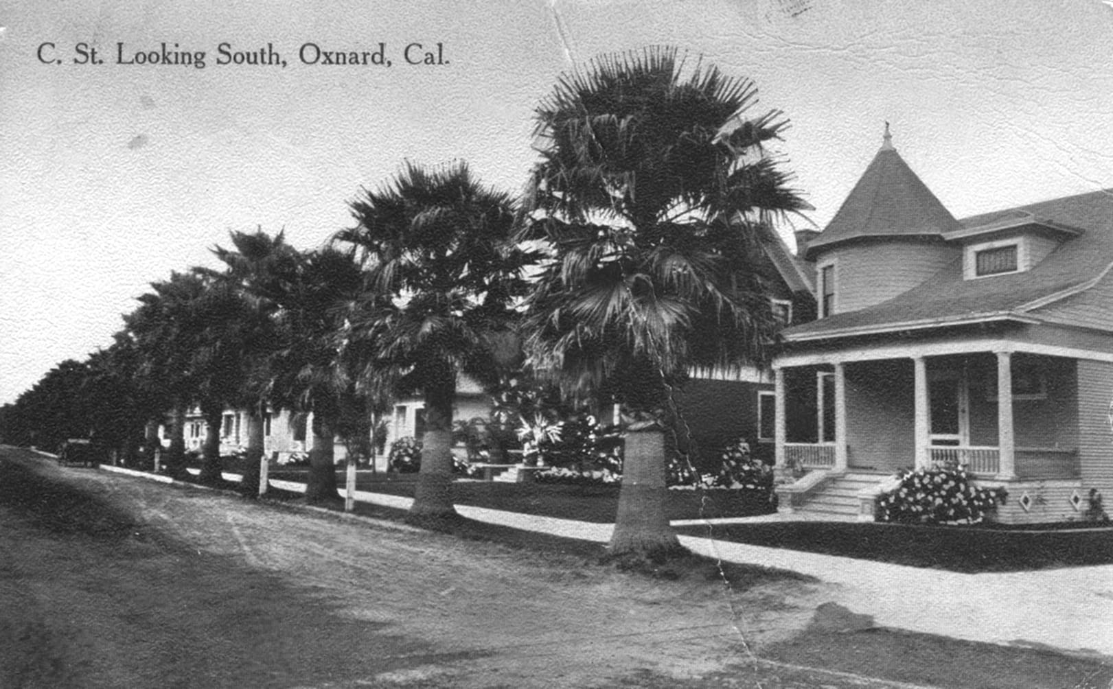 Historic black and white photo of C Street looking south in Oxnard, California, featuring a row of palm trees and Victorian houses near Heritage Square.