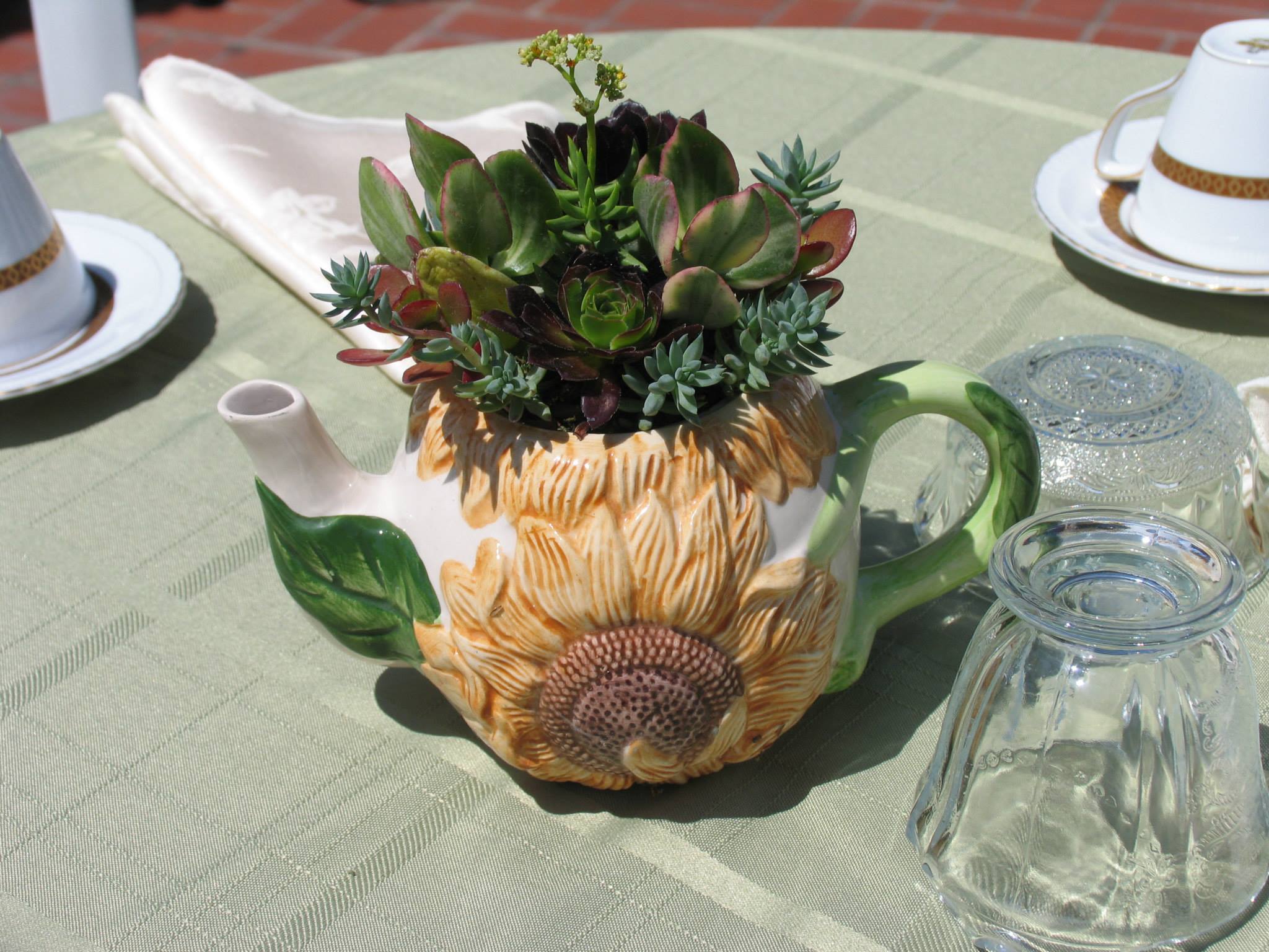 A teapot with a sunflower design, repurposed as a planter for succulents, displayed on a table at Heritage Square, Oxnard, with tea settings in the background.